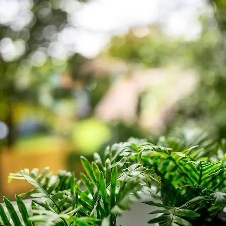 Erholung Pur Nahe Krankenhaus & Uni Mit Parkplatz! Apartamento