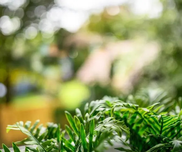 Erholung Pur Nahe Krankenhaus & Uni Mit Parkplatz! 아파트